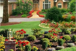 Landscape Services Williamston, SC